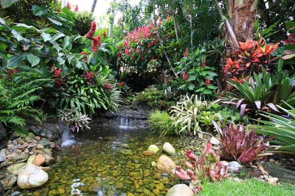 Best Tropical Garden