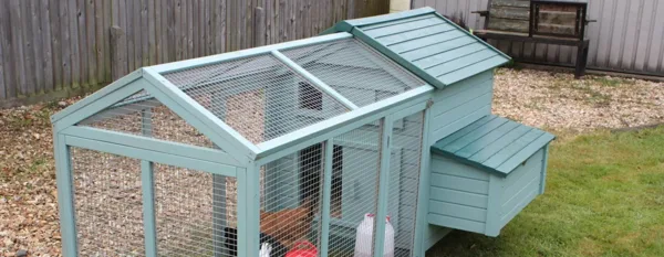 mini chicken coop