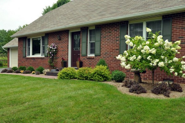 Landscaping Ideas For Your Front Yard