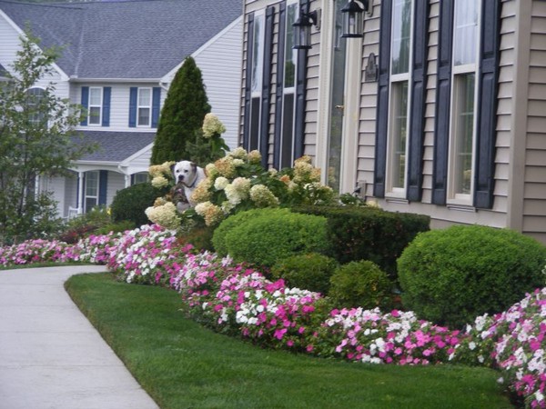 100 Landscaping Ideas for Front Yards and Backyards