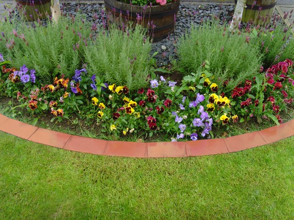 37 Best Garden Edging Ideas Creative Cheap And Easy To Use