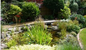 41 Stunning Garden Water Features to Easily Recreate in 2022