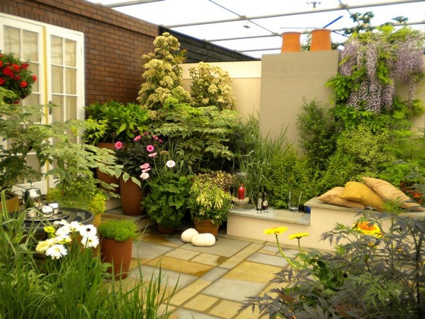 Small Home Garden: Tips for Designing a Small Garden For The House