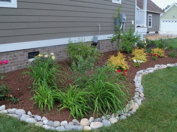 Backyard ground cover