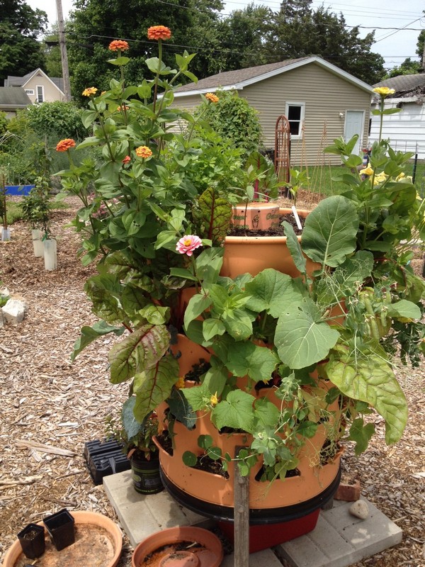 Vertikale Gartenideen mit Bildern