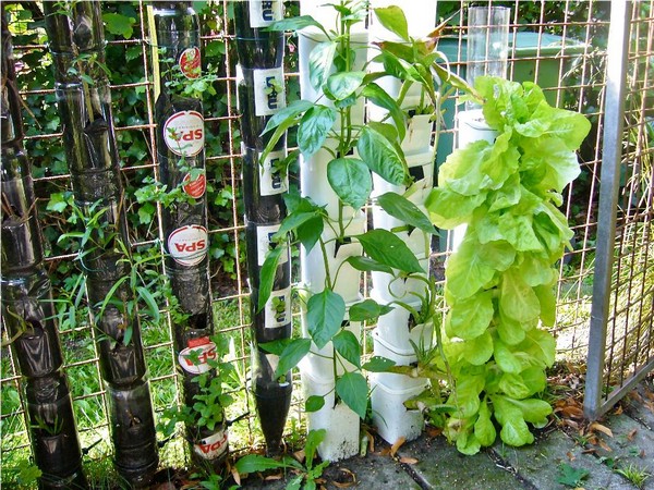 27 Unique Vertical Gardening Ideas With Images