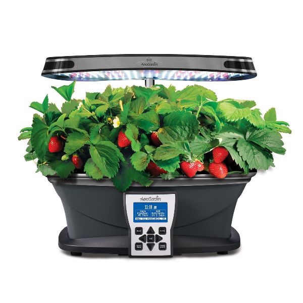 Indoor Gardening Tools