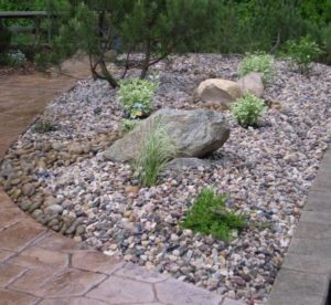 21 Inspiring Rock Garden Ideas and How to Build Your Own