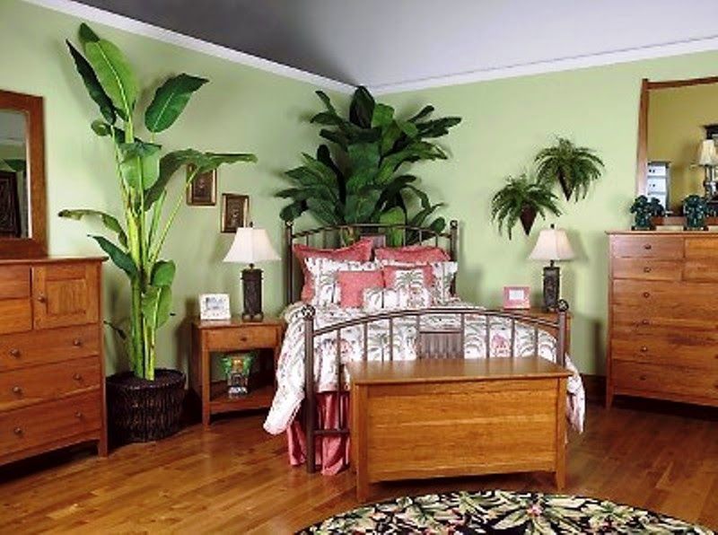 plants for bedroom: 30 best bedroom plants to improve sleep