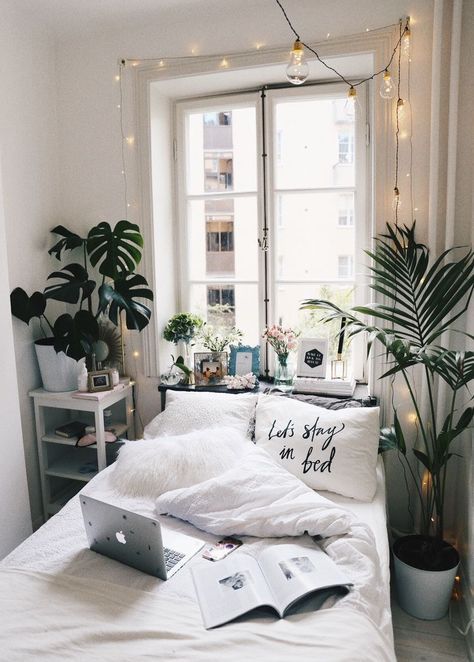 plants for bedroom: 30 best bedroom plants to improve sleep