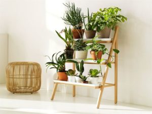 Reddit Indoor Gardening Kit