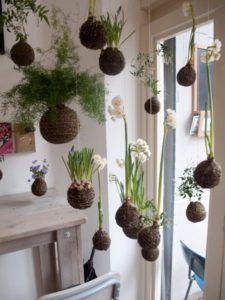 Reddit Indoor Gardening Store
