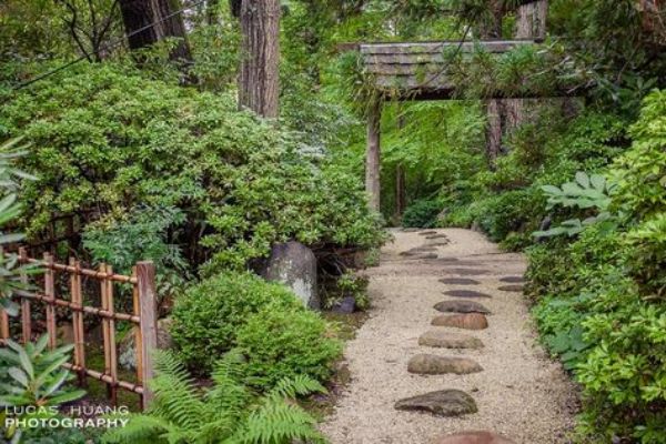 Japanese Garden Gravel