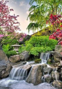 Japanese Garden Landscape