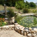 Beautiful Rock Garden