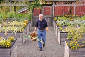 Best Height For Raised Garden Bed