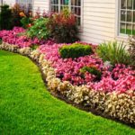 Garden Edging Ideas