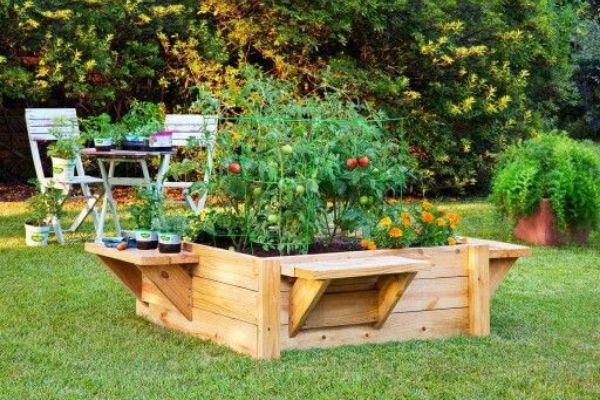 The Raised Garden Bed Guide Design Ideas Kits Plans More