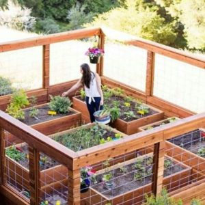 Raised Garden Bed Kit