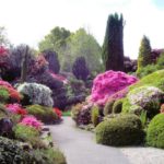 Beautiful Botanical Gardens