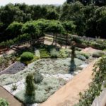 Best Backyard Ideas