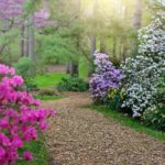 Botanical Gardens
