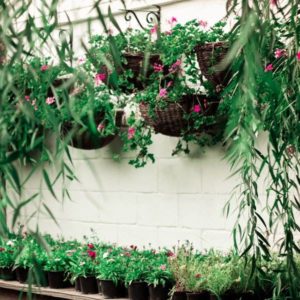Balcony Plant Pots
