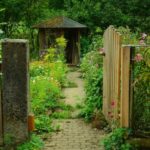 Best Secret Garden Ideas