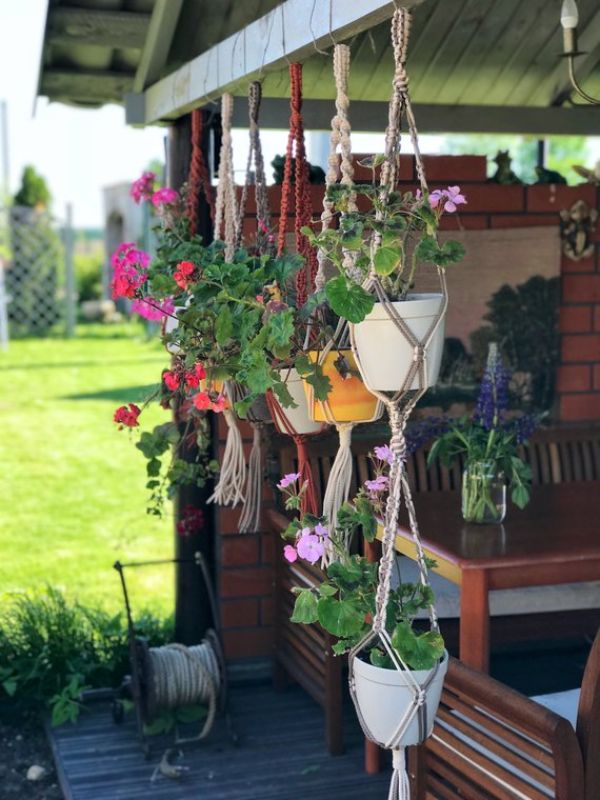 Plant Pots Modern