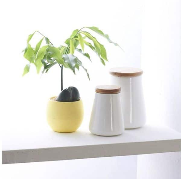 Plastic Plant Pots