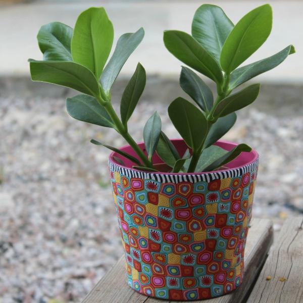 Plant Pots For Cheap