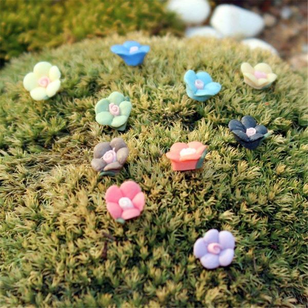 Fairy Garden Flowers