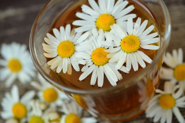 Chamomile Drink