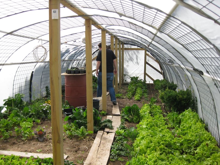 13 Greenhouse Benefits with Ideas and Plans to Inspire