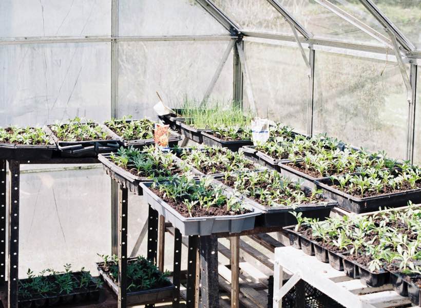 Tips for Building a Greenhouse for Your Garden