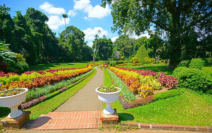 royal botanic garden