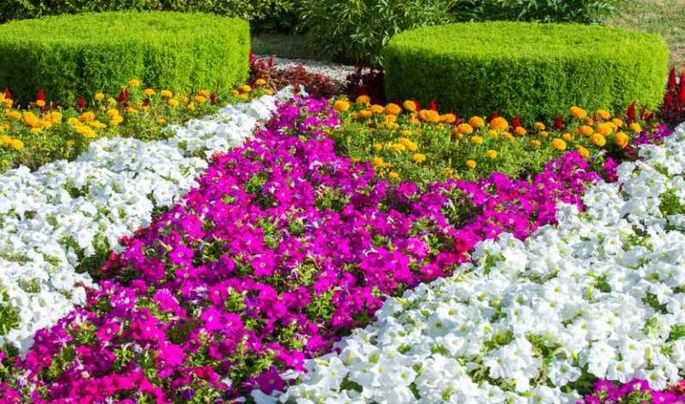 16 Fantastic Flower Garden Ideas You'll Fall in Love With