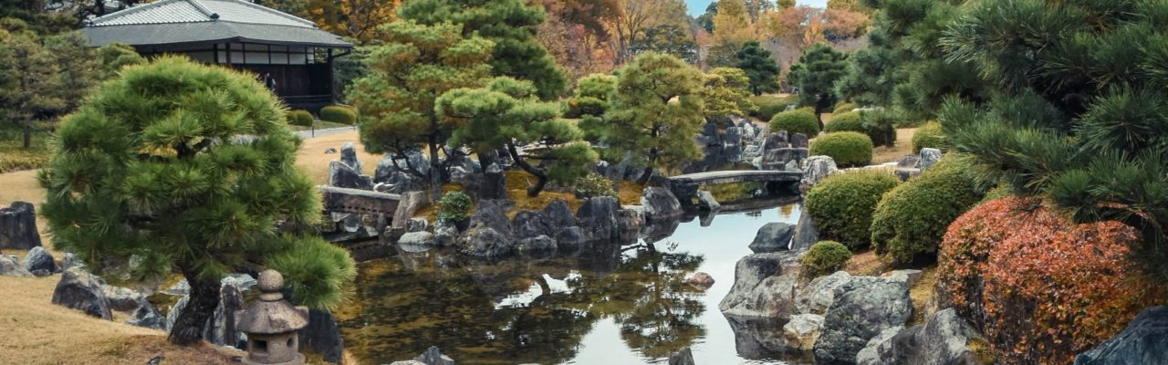 relaxing rock garden pond