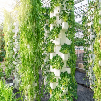 Aeroponics: The Definitive Guide to Get Started with Aeroponic Systems