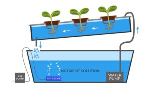 Aquaponics 101: Quick and Easy Aquaponic Systems Full Guide