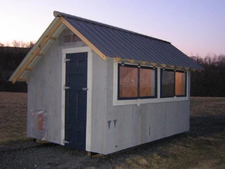 What elements does a chicken coop need Tampa neighborhood’s abandoned chickens find sanctuary