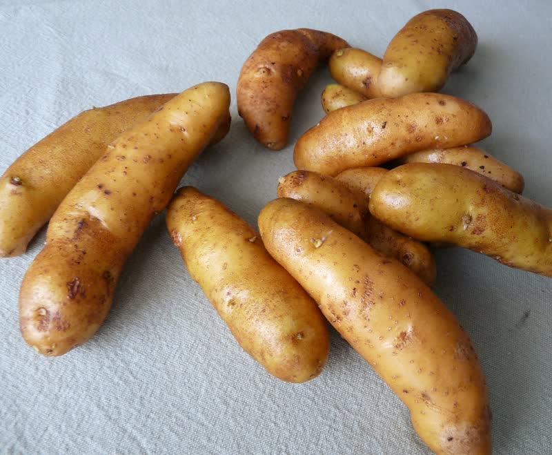 princess laratte potatoes
