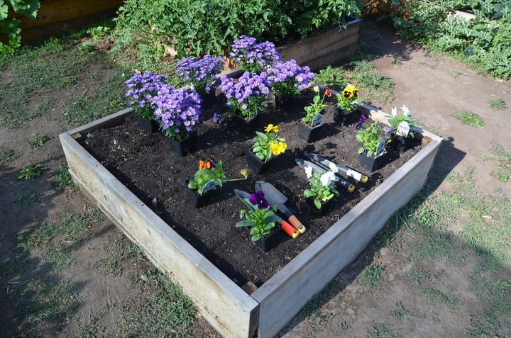 how deep raised garden bed should be