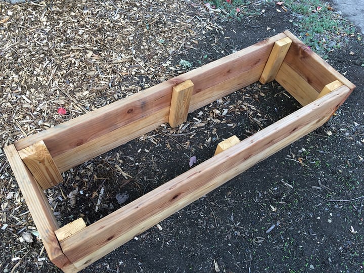 raised garden bed empty