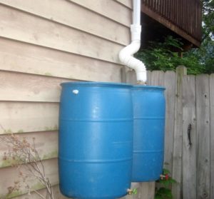 Rain Water Harvesting Definitive Guide & How to Get Started