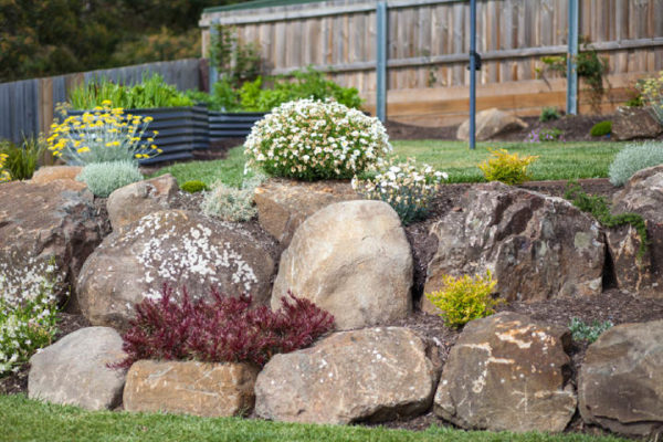 31 Best Garden Rocks & Tips on Choosing Rocks for Gardens