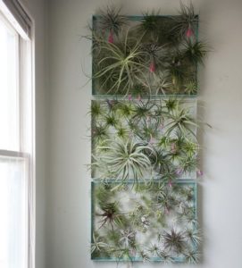 41 Awesome Plant Wall Ideas & How to Build a DIY Plant Wall