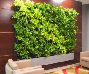 41 Awesome Plant Wall Ideas & How to Build a DIY Plant Wall