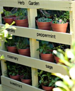 Best Herb Garden Ideas How To Start A Herb Garden