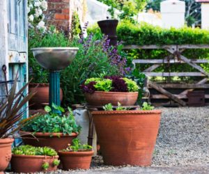 33 Best Herb Garden Ideas & How to Start a Herb Garden